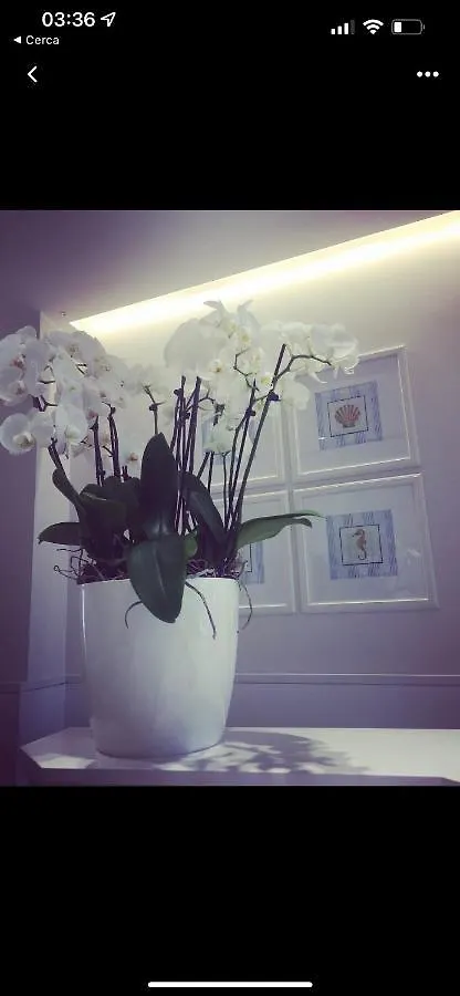 Hotel Ardea Riccione